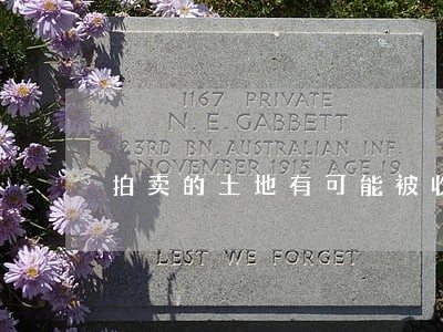 拍卖的土地有可能被收回吗 拍卖的土地有可能被收回吗