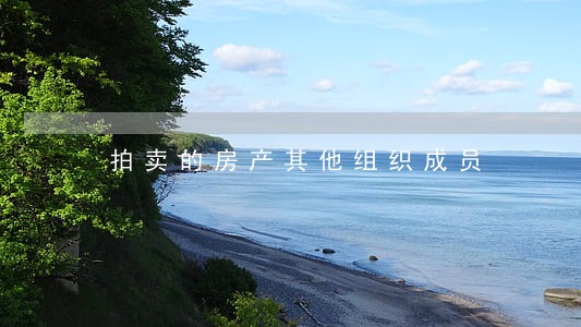 拍卖的房产其他组织成员