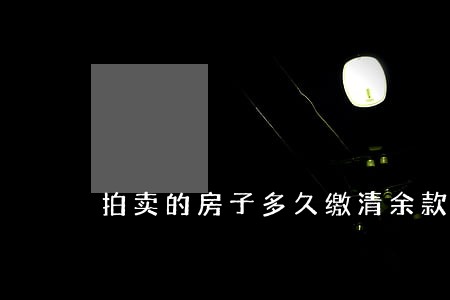 拍卖的房子多久缴清余款 拍卖的房子多久缴清余款