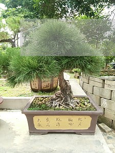 拍卖的房子拿到裁决书后 拍卖的房子拿到裁决书后