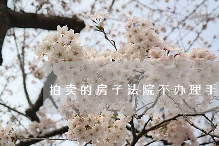 拍卖的房子法院不办理手续