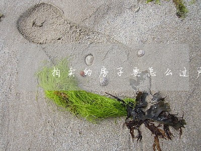 拍卖的房子要怎么过户 拍卖的房子要怎么过户