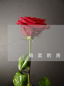 拍卖的房子起拍价 拍卖的房子起拍价