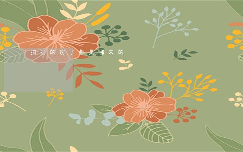 拍卖的房子都是哪来的 拍卖的房子都是哪来的