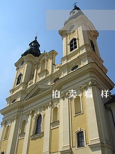 拍卖看样收费 拍卖看样收费