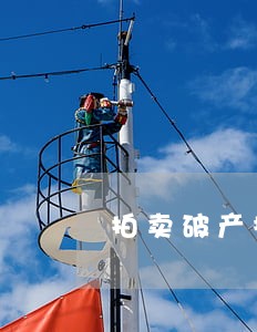 拍卖破产拍卖不同 拍卖破产拍卖不同