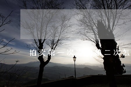 拍卖第一次流拍第二次怎拍 拍卖第一次流拍第二次怎拍