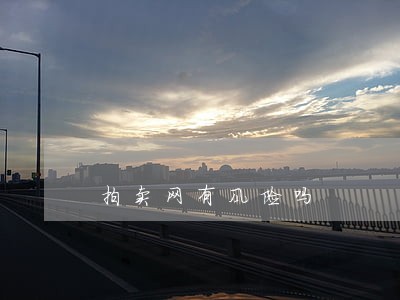 拍卖网有风险吗 拍卖网有风险吗