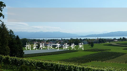 拍卖股权手续费用 拍卖股权手续费用