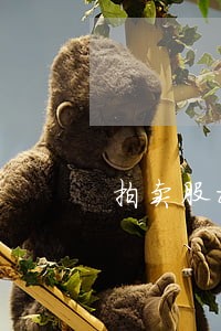 拍卖股权未实缴 拍卖股权未实缴