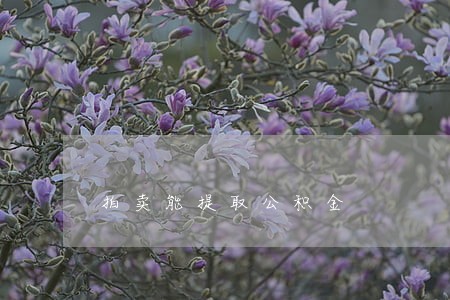 拍卖能提取公积金 拍卖能提取公积金