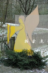 拍卖虎鞭违法吗 拍卖虎鞭违法吗