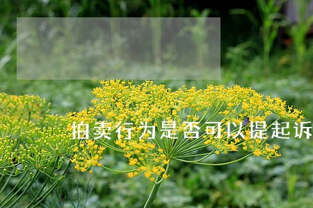拍卖行为是否可以提起诉讼