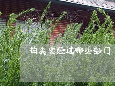 拍卖要经过哪些部门 拍卖要经过哪些部门