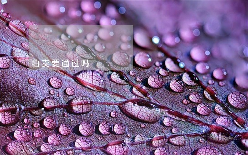 拍卖要通过吗