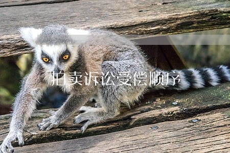 拍卖诉讼受偿顺序 拍卖诉讼受偿顺序