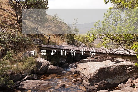 拍卖起拍价不得 拍卖起拍价不得
