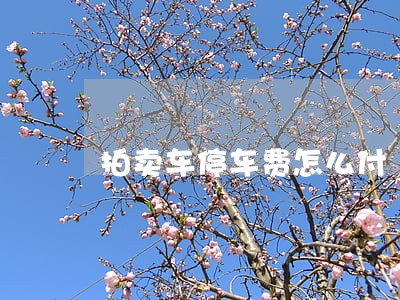 拍卖车停车费怎么付 拍卖车停车费怎么付