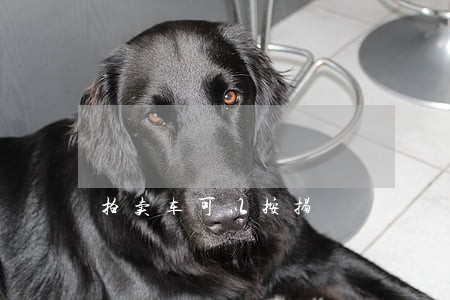 拍卖车可以按揭 拍卖车可以按揭
