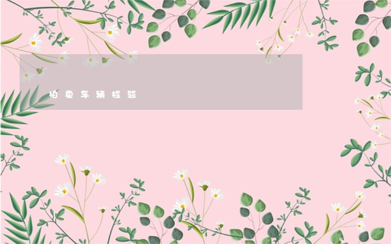 拍卖车辆检验 拍卖车辆检验