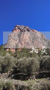 拍卖还有没有三拍 拍卖还有没有三拍