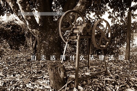 拍卖适用什么法律法规 拍卖适用什么法律法规