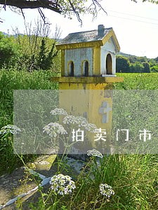 拍卖门市过户费 拍卖门市过户费