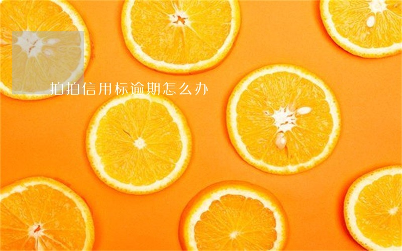 拍拍信用标逾期怎么办