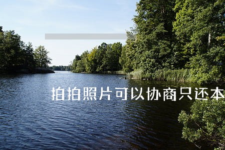 拍拍照片可以协商只还本金吗 拍拍照片可以协商只还本金吗