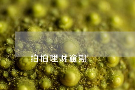 拍拍理财逾期 拍拍理财逾期