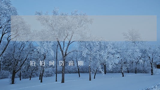 拍拍网贷逾期 拍拍网贷逾期