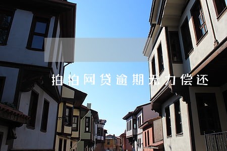 拍拍网贷逾期无力偿还 拍拍网贷逾期无力偿还