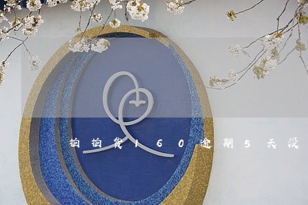 拍拍货160逾期5天没事吧