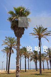 拍拍货逾期1万多久会上门收 拍拍货逾期1万多久会上门收