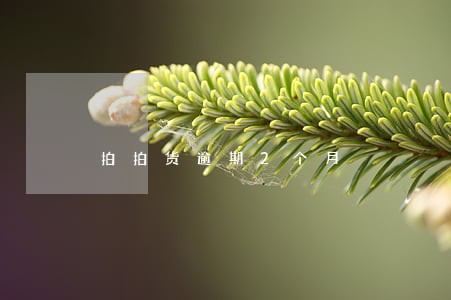 拍拍货逾期2个月 拍拍货逾期2个月