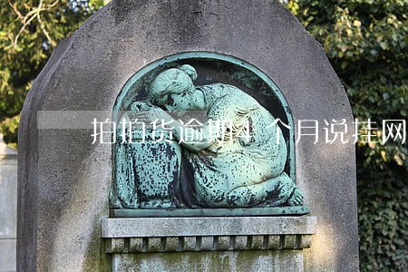 拍拍货逾期4个月说挂网执行 拍拍货逾期4个月说挂网执行