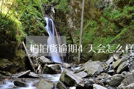 拍拍货逾期4天会怎么样 拍拍货逾期4天会怎么样