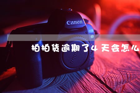 拍拍货逾期了4天会怎么样 拍拍货逾期了4天会怎么样