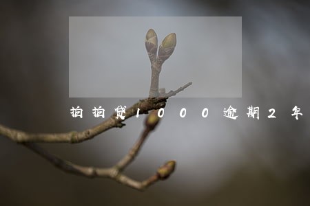 拍拍贷1000逾期2年 拍拍贷1000逾期2年