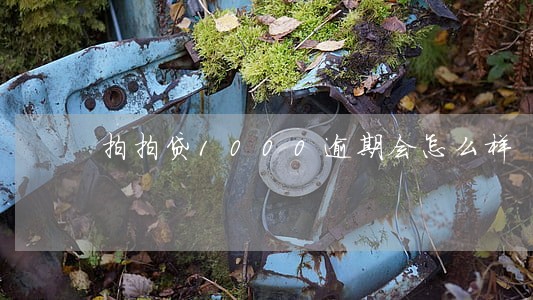 拍拍贷1000逾期会怎么样