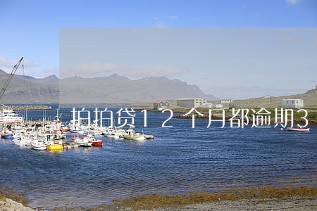 拍拍贷12个月都逾期3天 拍拍贷12个月都逾期3天