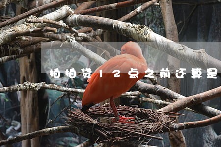 拍拍贷12点之前还算是逾期吗 拍拍贷12点之前还算是逾期吗