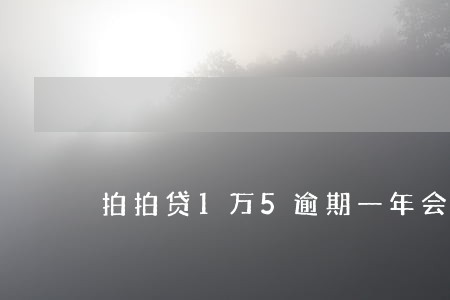 拍拍贷1万5逾期一年会怎样 拍拍贷1万5逾期一年会怎样