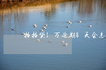 拍拍贷1万逾期8天会怎样 拍拍贷1万逾期8天会怎样