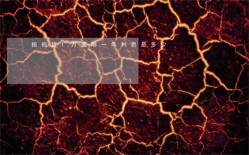 拍拍贷1万逾期一年利息是多少 拍拍贷1万逾期一年利息是多少