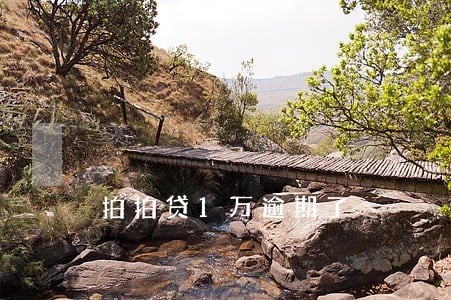 拍拍贷1万逾期了 拍拍贷1万逾期了