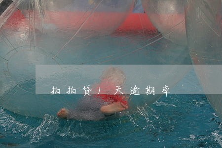 拍拍贷1天逾期率 拍拍贷1天逾期率