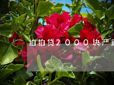 拍拍贷2000块严重逾期会怎样 拍拍贷2000块严重逾期会怎样