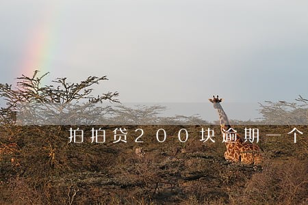 拍拍贷200块逾期一个月