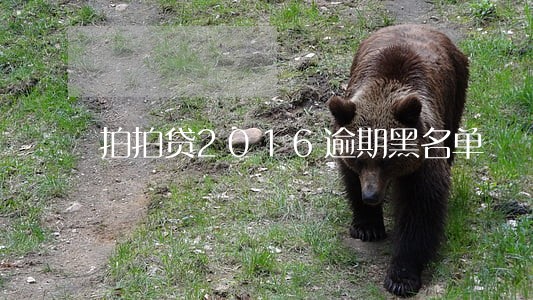 拍拍贷2016逾期黑名单 拍拍贷2016逾期黑名单
